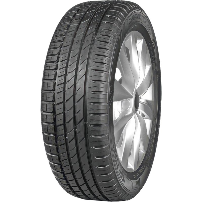 Автомобильная шина Ikon Character Eco (Nordman SX3) 195/55 R15 89H