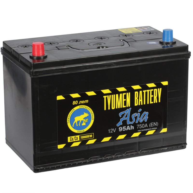 Tyumen Battery Автомобильный аккумулятор Tyumen Battery 95 Ач прямая полярность D31R